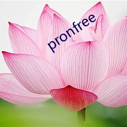 pronfree ڱࣩ