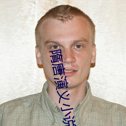 隋唐演义小说
