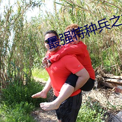 最强特种兵之龙刺