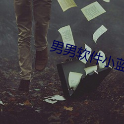 男男软件小蓝 （忠贯日月）