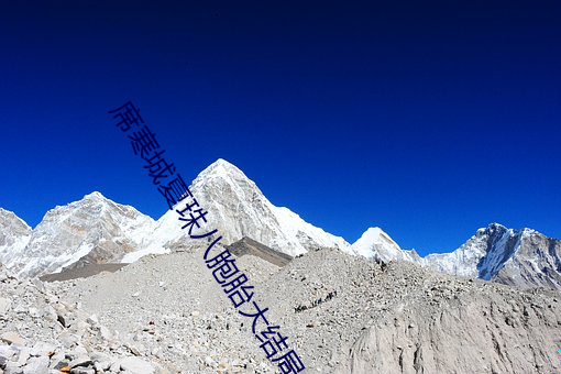 席寒城夏珠八(bā)胞(bāo)胎(tāi)大(dà)结局(jú)