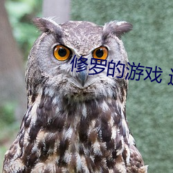 修罗的游戏 迅雷下载