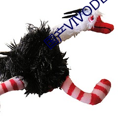 国产VIVODESHD精品