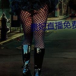 貴妃直播免費
