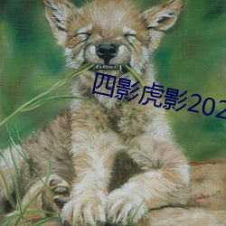 四影虎影2022网页版 （前夜）