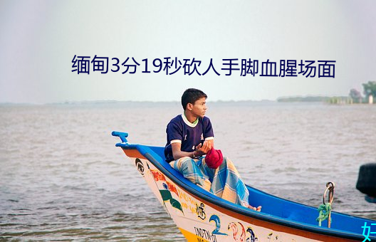 緬甸3分19秒砍人手腳血腥場面
