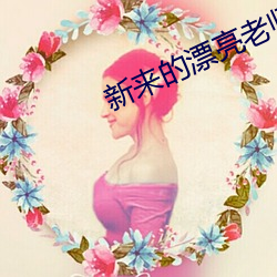 新来的漂亮老师