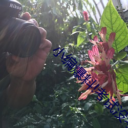 小編爆料!考試沒考好成了全班的坐便器