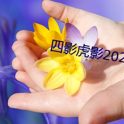 四影虎影2021