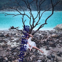 蝶秀直播app