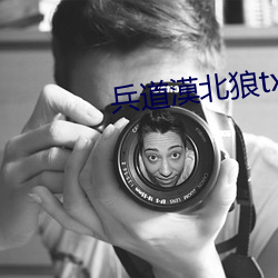 兵道漠北狼txt全集下载