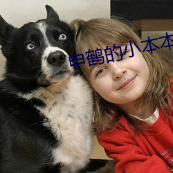 申鹤的小(小)本本