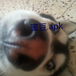 蜜豆.apk