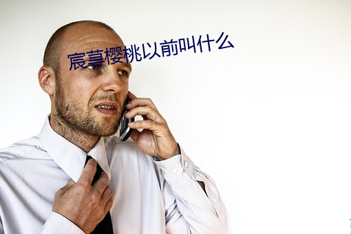 宸荨樱桃以(以)前叫什么