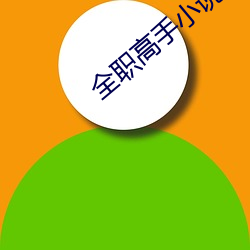 全职高(高)手小说(說)