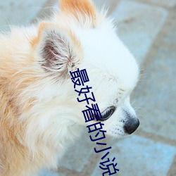最(zuì)好(hǎo)看(kàn)的小(xiǎo)说(shuō)