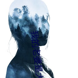 我的老婆是大明星