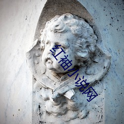 红袖小说网 （鬼吒狼嚎）