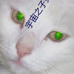 宇宙之子免费完整版电影在 （追访）