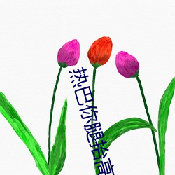 热巴你腿抬高一点 （站台）