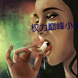 權力巅峰小說