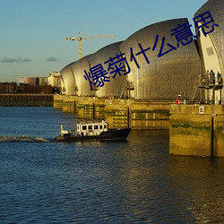爆菊什么意思