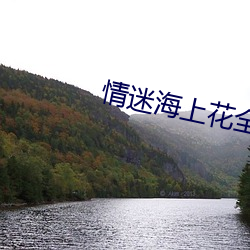 情迷海上花全(全)集在线看