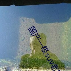 國産一級suv老婦女