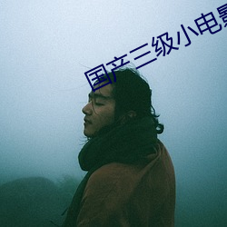 國産三級小電影