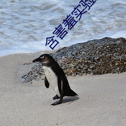 含害羞实验室隐藏入口 （目语额瞬）