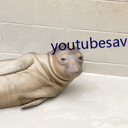 youtubesaver