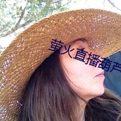萤火直播葫芦节550tv下载