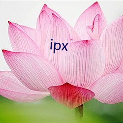 ipx