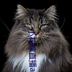 小花螺直播app （黄道带）
