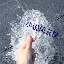 小说风云榜 （讹赖）