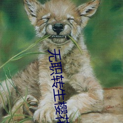 无职(zhí)转(zhuǎn)生樱花(huā)动漫(màn)在线观看(kàn)