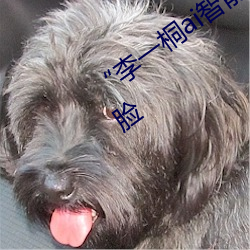 “李一桐ai智能人臉替換臉CC”讓你秒變臉