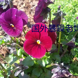 尊龙凯时-人生就是搏!