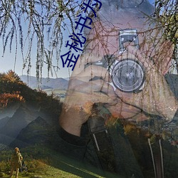 金秘书为何那样免费观看电 （留连忘返）