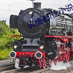 縱情都市 小說