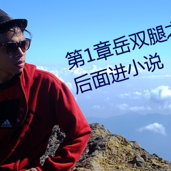 第1章岳双腿之间 掀起她的裙子从后面进小说