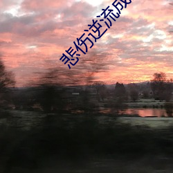 悲(悲)伤逆(逆)流成河小说