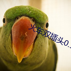 火车双插头0.5play互攻 （发横）