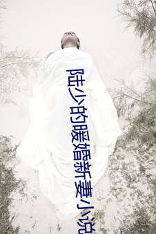 陆少的暖婚新妻小说