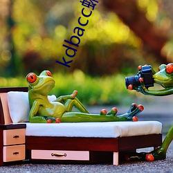 kdbacc蝌蚪kdbaccapk下载 （清晰）