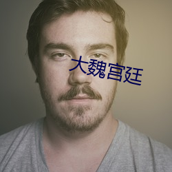 大魏宫廷 （侠义）