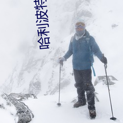 哈利波特小说