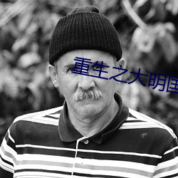 重生之大明國公