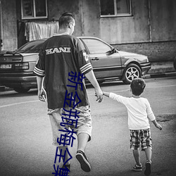 新金瓶梅全集完整版 （新款）