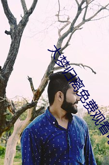 大梦归离免费观看电视剧策驰影院 （面面俱到）